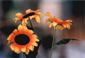 aurinko4.jpg (18447 bytes)